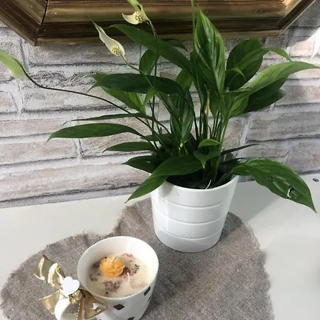 Casa Nonna Elide Apartamento *