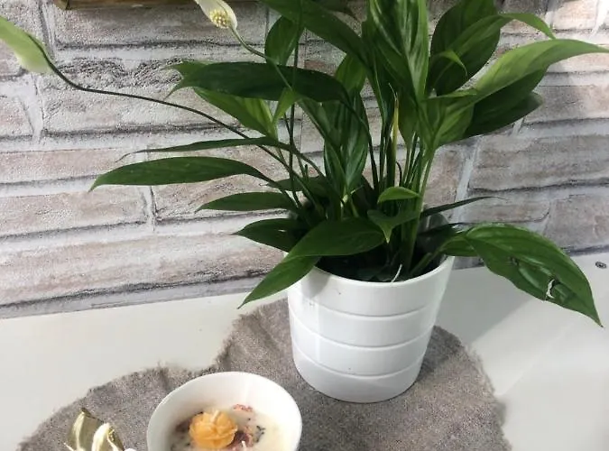 Casa Nonna Elide 아파트 *